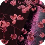 Logo of Japanese Sakura Garden android Application 